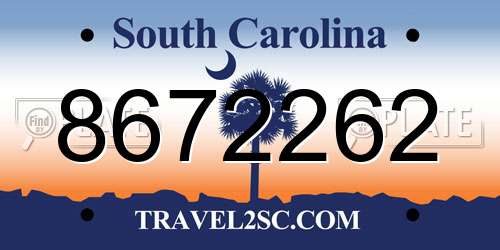 8672262 South Carolina License Plate