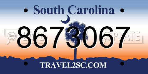 8673067 South Carolina License Plate