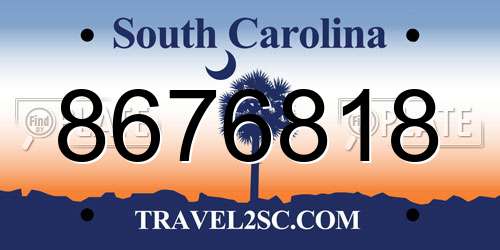 8676818 South Carolina License Plate