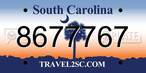 8677767 South Carolina License Plate
