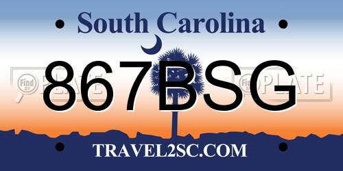 867BSG South Carolina License Plate