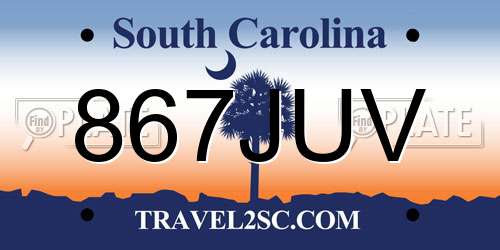 867JUV South Carolina License Plate