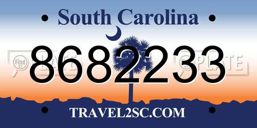 8682233 South Carolina License Plate