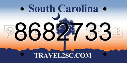 8682733 South Carolina License Plate