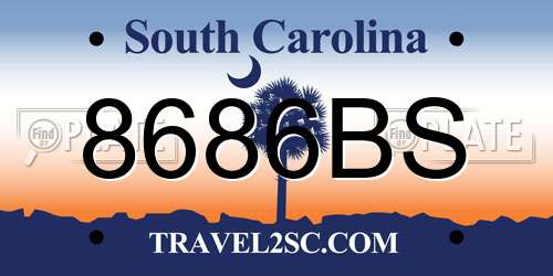 8686BS South Carolina License Plate