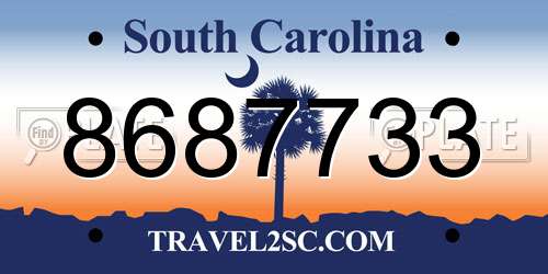 8687733 South Carolina License Plate