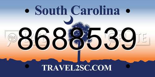 8688539 South Carolina License Plate