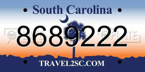 8689222 South Carolina License Plate