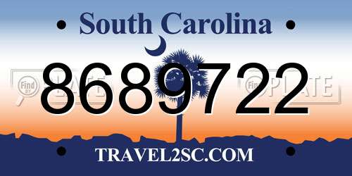 8689722 South Carolina License Plate