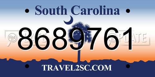 8689761 South Carolina License Plate