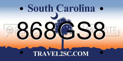 868GS8 South Carolina License Plate
