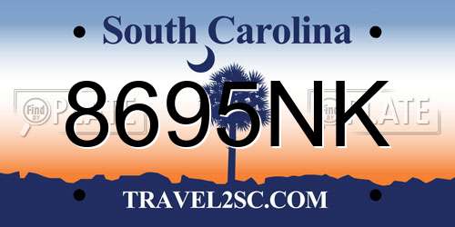 8695NK South Carolina License Plate