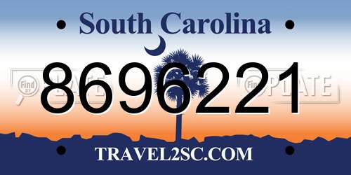 8696221 South Carolina License Plate