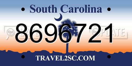 8696721 South Carolina License Plate