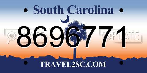 8696771 South Carolina License Plate