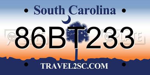 86BT233 South Carolina License Plate