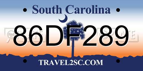 86DF289 South Carolina License Plate