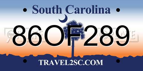 86OF289 South Carolina License Plate