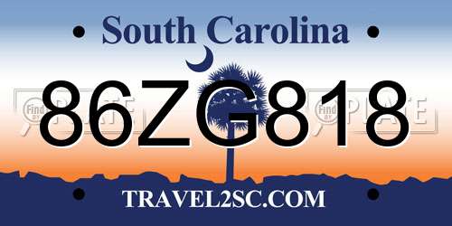 86ZG818 South Carolina License Plate