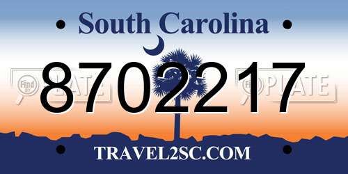 8702217 South Carolina License Plate