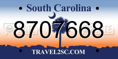 8707668 South Carolina License Plate