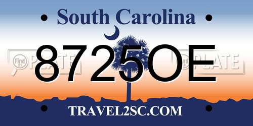 8725OE South Carolina License Plate