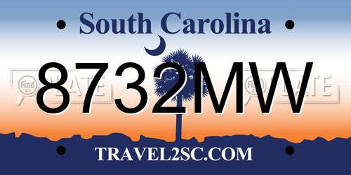 8732MW South Carolina License Plate