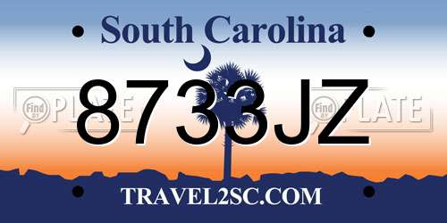 8733JZ South Carolina License Plate
