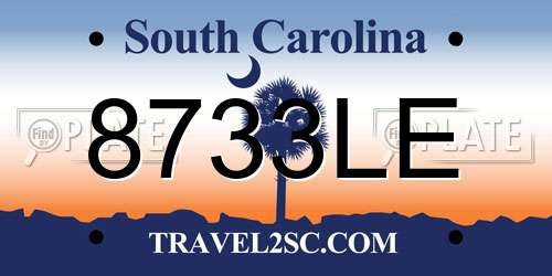 8733LE South Carolina License Plate