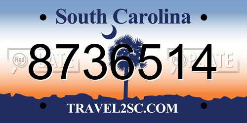 8736514 South Carolina License Plate