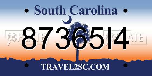 87365I4 South Carolina License Plate