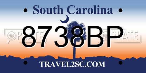8738BP South Carolina License Plate
