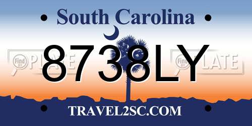 8738LY South Carolina License Plate