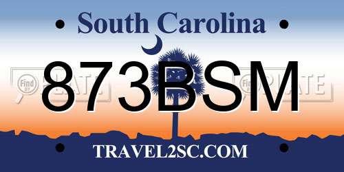 873BSM South Carolina License Plate