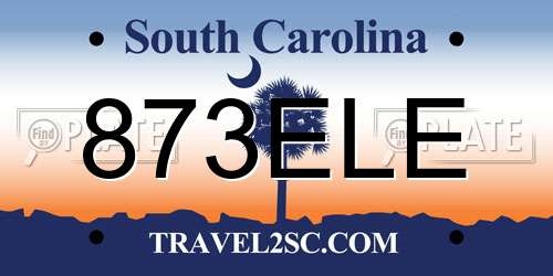 873ELE South Carolina License Plate