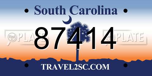 87414 South Carolina License Plate