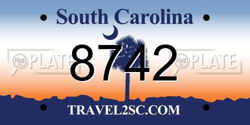 8742 South Carolina License Plate