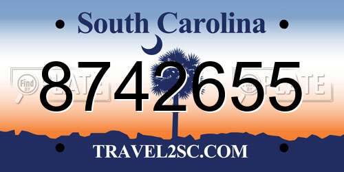 8742655 South Carolina License Plate