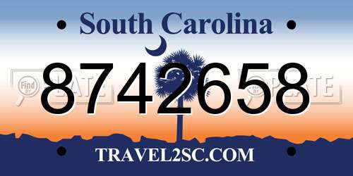 8742658 South Carolina License Plate