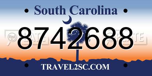 8742688 South Carolina License Plate