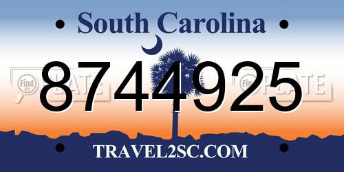 8744925 South Carolina License Plate