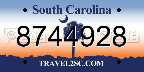8744928 South Carolina License Plate