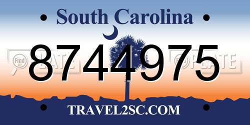 8744975 South Carolina License Plate