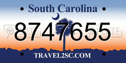 8747655 South Carolina License Plate