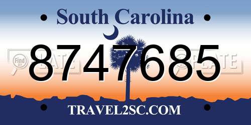 8747685 South Carolina License Plate