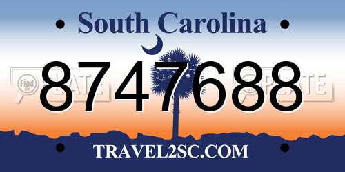 8747688 South Carolina License Plate