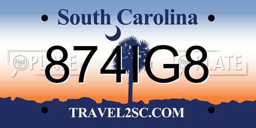 874IG8 South Carolina License Plate