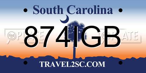 874IGB South Carolina License Plate