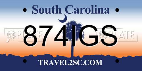 874IGS South Carolina License Plate
