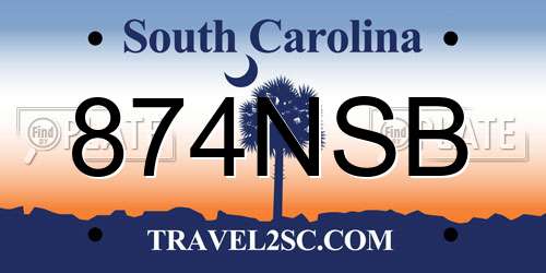 874NSB South Carolina License Plate